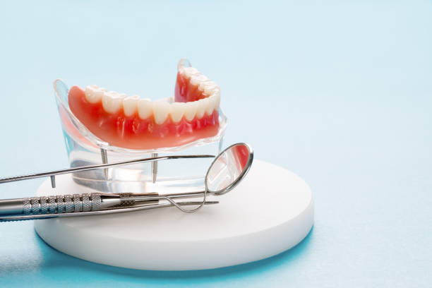 Best Cosmetic Dentistry  in Palm Shores, FL